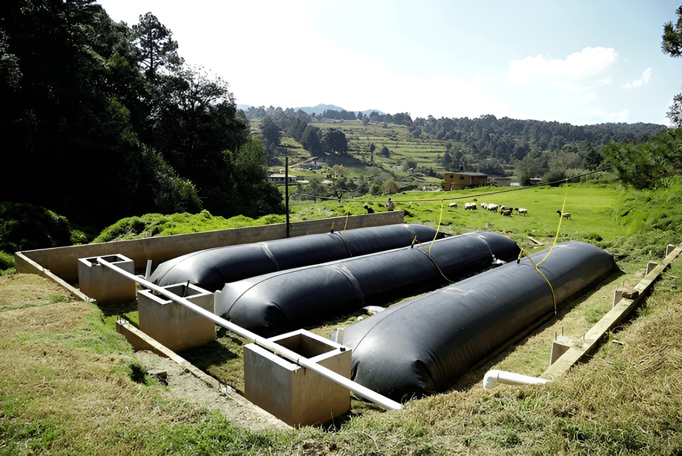 Novastar Ventures Invests $3 Million In Sistema.bio To Support Biogas Solutions in Africa